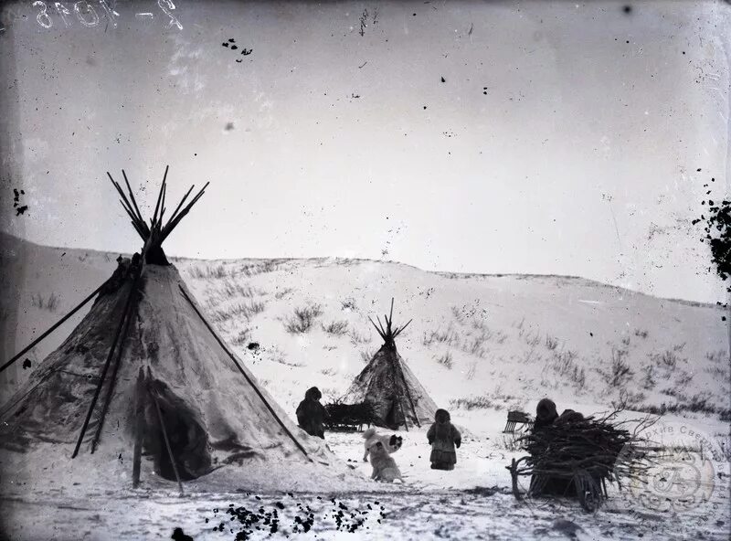 Нганасаны нарты. Традиционное жилище ненцев. Чум 5. Чум 5. Бронеколпак чум-5.