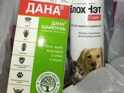 Средство блох безопасное животных