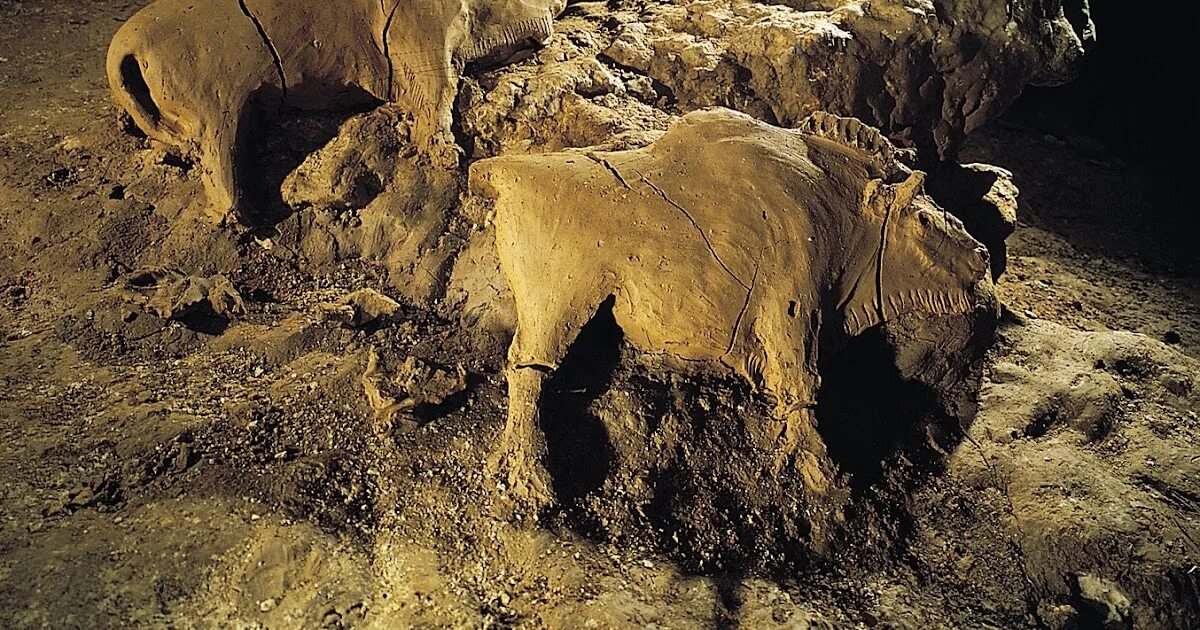 Нашли бизона. Пещера тюк д'Одубер. Пещера тюк д Одубер бизоны. Пещера Монтеспан. Пещера Труа-Фрер.
