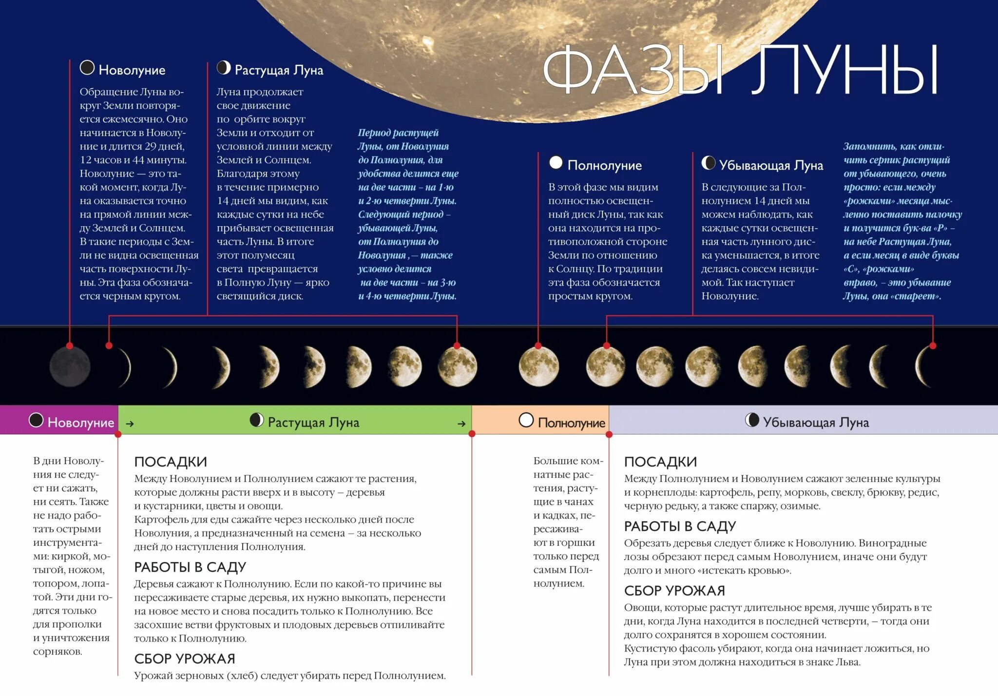Какая сейчас луна в беларуси 2024. Фазы Луны. Лунный календарь. Растущая Луна. Лунный календарь Луна.