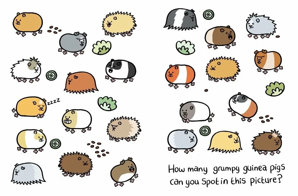 хомяк задания карточки