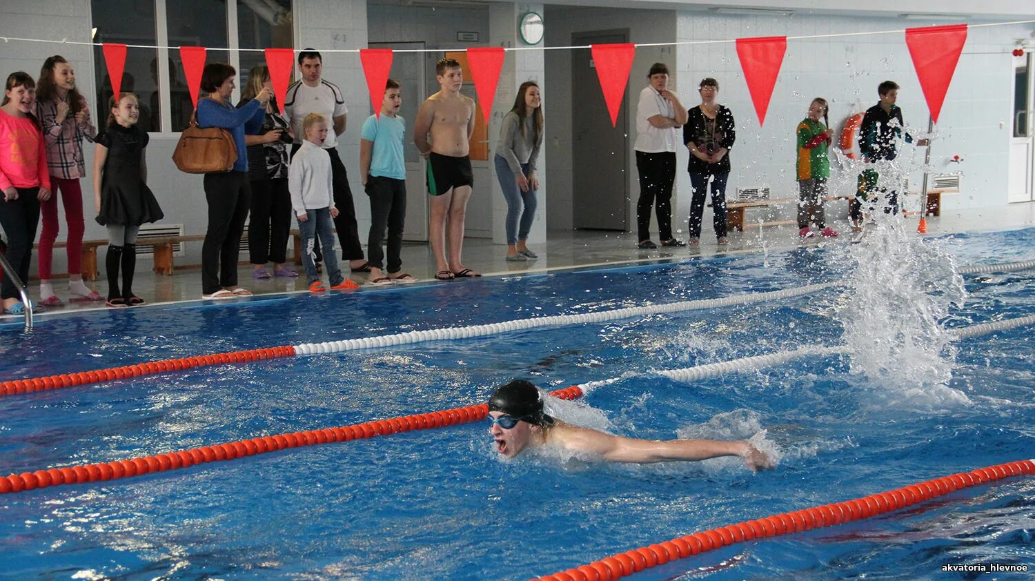 бассейн дельфин нахабино. бассейн аквамарин довольное. бассейн акватория северное тушино. бассейн акватория северное тушино. бассейн на вилиса лациса акватория тренеры.