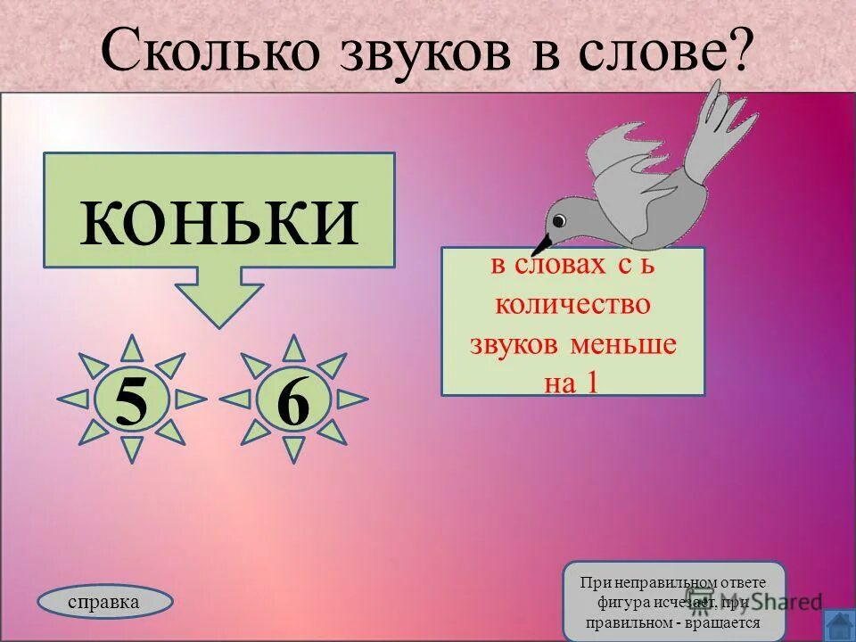 Происхождение слова жизнь. Глупая текст. Растения которые долго живут. Страна правописания. Сколько живет слов.