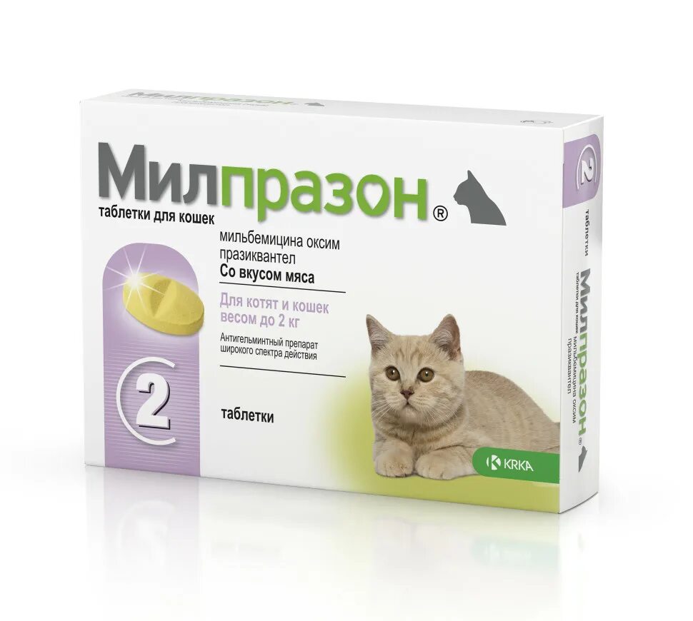 Кошачий аналог