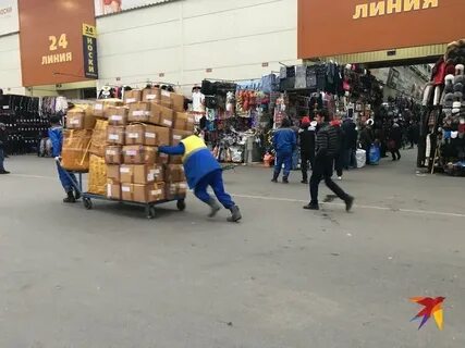 Стычка на садоводе