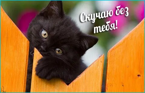 Скучаю без фото