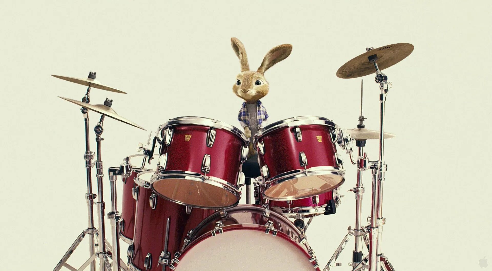 Группа играющие на барабанах. Заяц с барабаном. Открытка барабанщику. Кролик с барабаном. Игра на барабанах.