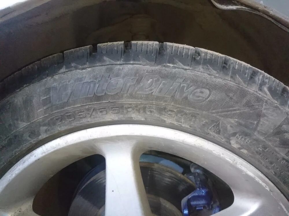 Кордиант гравити 205 55 16 купить. Cordiant 205/55 r16. Автошина Cordiant pw-401 205/55 r16. Cordiant Gravity 205/55 r16. Кордиант 205/55/16 v 94 Gravity.