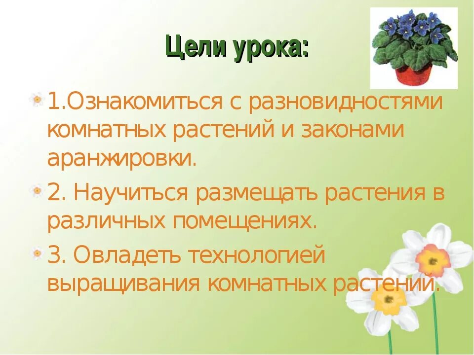 Мини проект растения 5 класс Презентация "Растения-хищники"
