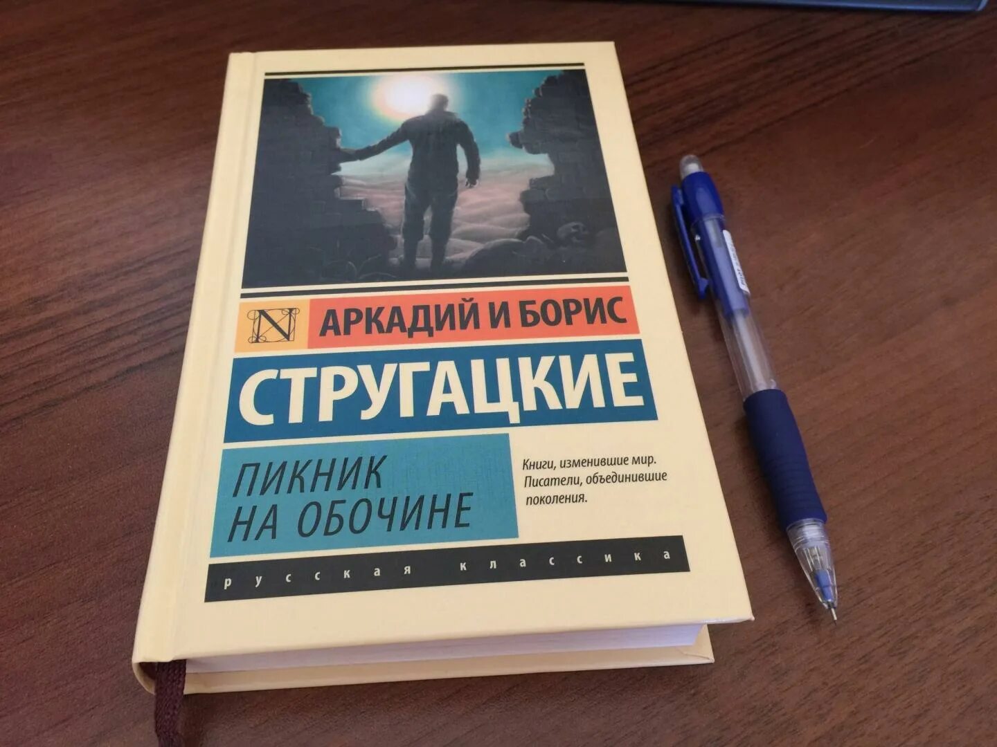 Стругацкие пикник на обочине. Пикник на обочине книга. Стругацкие пикник на обочине обложка книги. Пикник с книгой. Краткое содержание стругацкие пикник