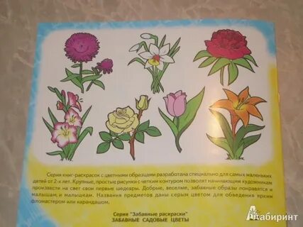 Цветы аннотация