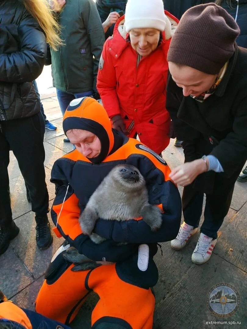 Дети спасают животных