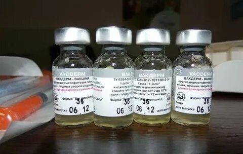 Вакцина вакдерм инструкция по применению