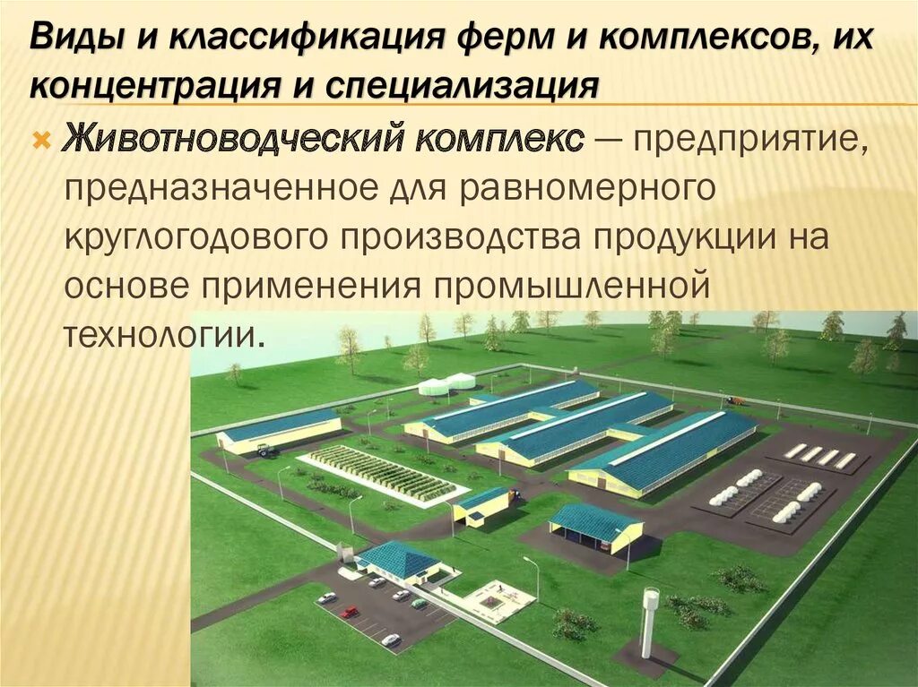 Животноводческие фермы и их производственные объекты - презентация онлайн