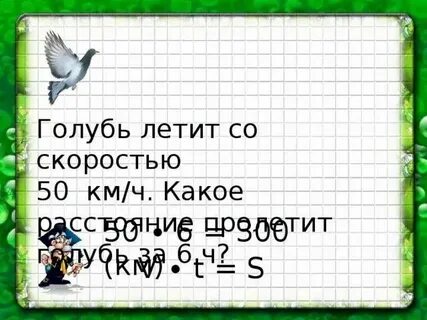 С какой скоростью летают голуби