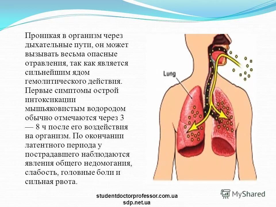 Отравление через дыхательные пути. Химическое отравление через дыхательные пути. Признаки отравления дыхательных путей. Отравление через дыхательные пути симптомы.