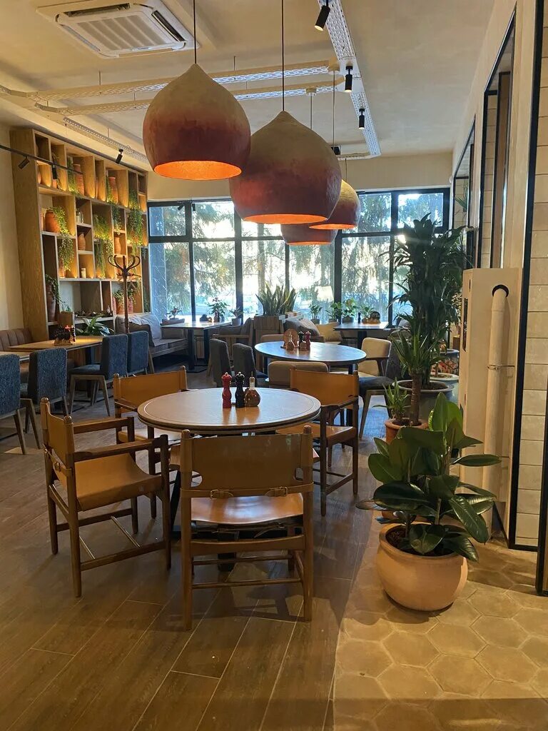 ресторан тбилиси тула винная карта. итальянцы в тбилиси ресторан дзержинск логотип. тбилиси дзержинск ресторан. итальянцы в тбилиси дзержинск ресторан. меню ресторана итальянцы в тбилиси дзержинск.