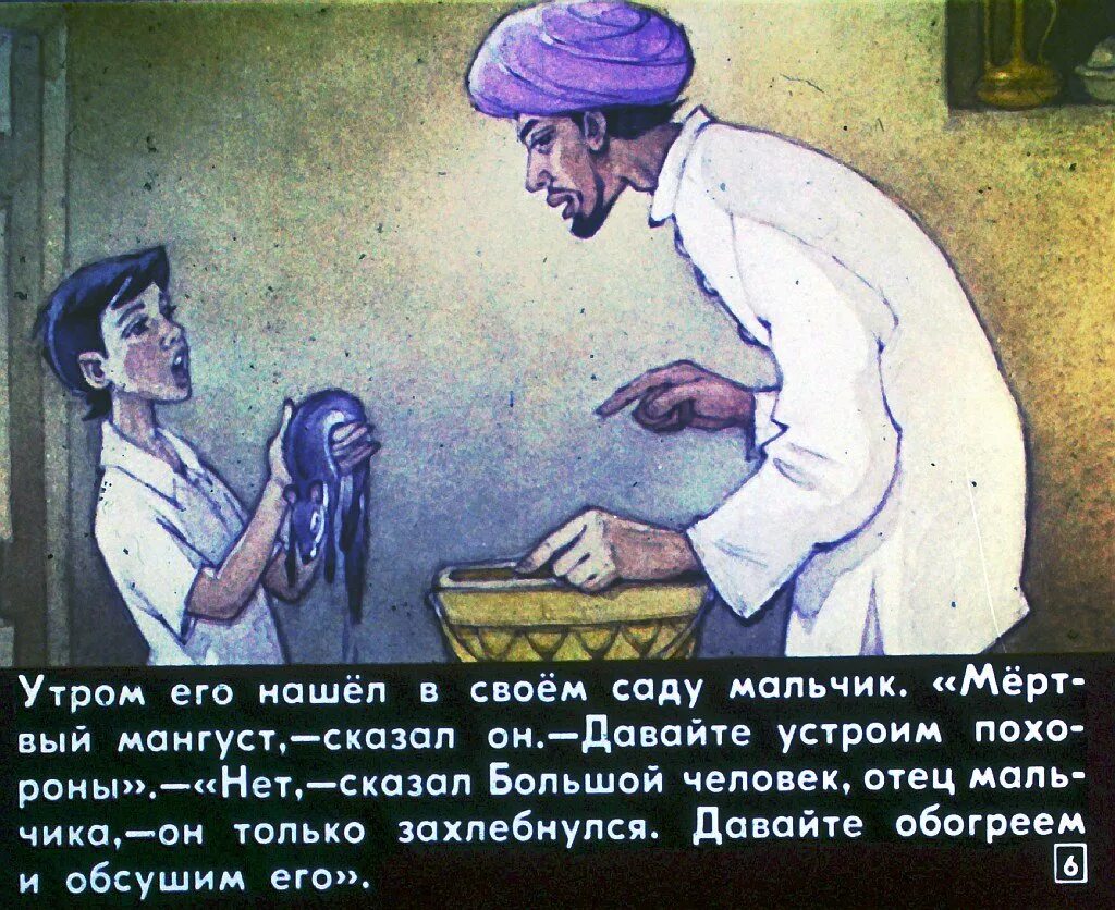 Соседка рики тики тави. Рикки-тикки-тави. соседка рикки тикки тави.