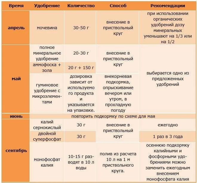 Чем подкормить черешню во время цветения. Схема удобрения яблонь. Схема подкормки персика. Подкормка плодовых деревьев осенью схема. Схема подкормки абрикоса.