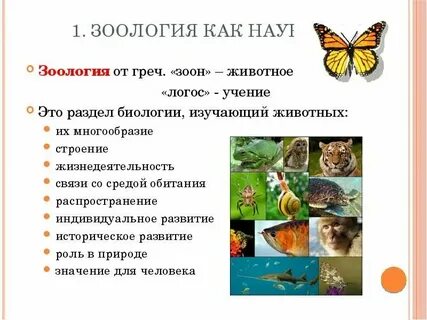 По биологии поведение животных конспект 8 класс