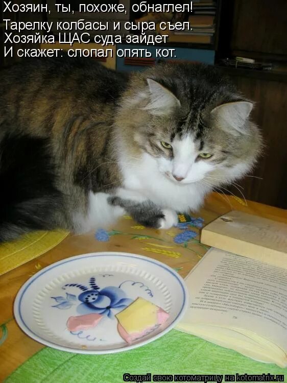 а. съел тарелку это. а. метонимия рисунок. крылов и.