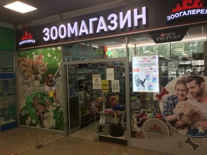Зоогалерея интернет магазин
