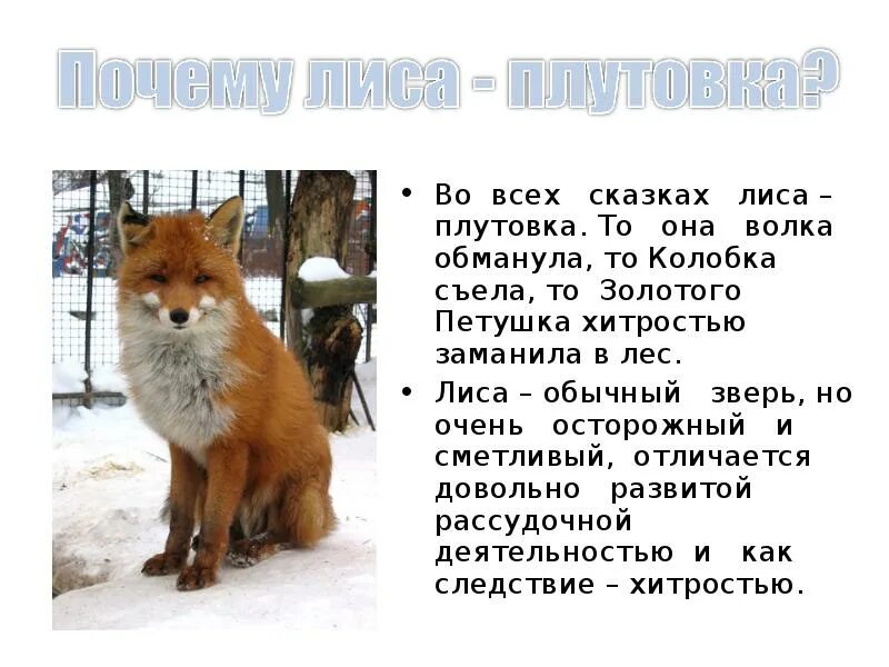 Сказка плутовка. Лиса рассказ. сказки о лисе. лиса плутовка. рассказ о лисичке.