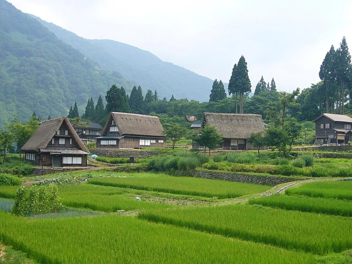 Japanese village. Деревня Гокаяма в Японии. Сиракава-го деревня. Сиракава-го Япония. Сиракава-го и Гокаяма.