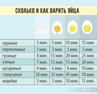 Сколько минут варить крутыми