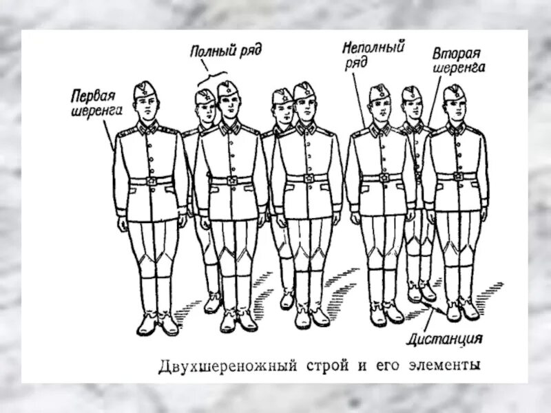 Двухшереножный Строй схема. Элементы двухшереножного строя. Построение в шеренгу схема. Построение в одношереножный Строй. Как называется часть войск идущая впереди