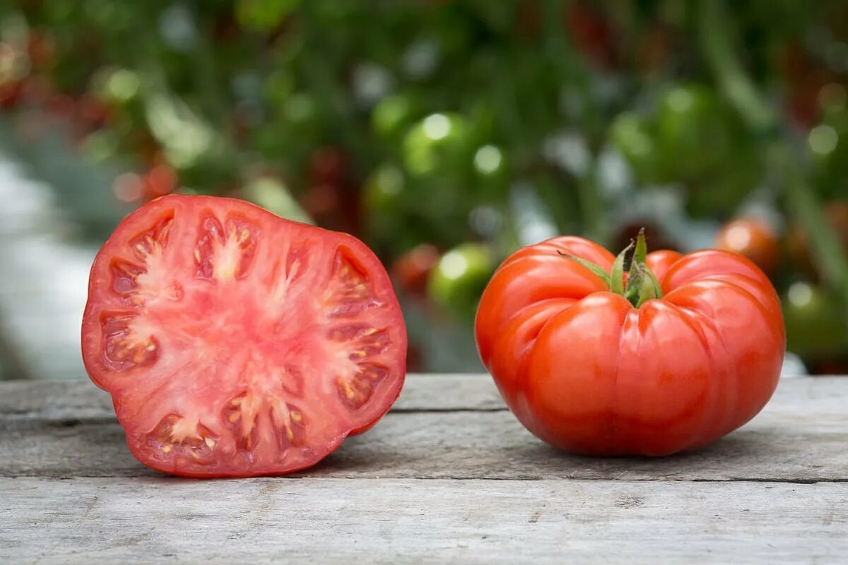 Урожайность томата биф. Beefsteak Tomato. Биф томаты сорта. Томат бифштекс. Сорт помидор бифштекс.