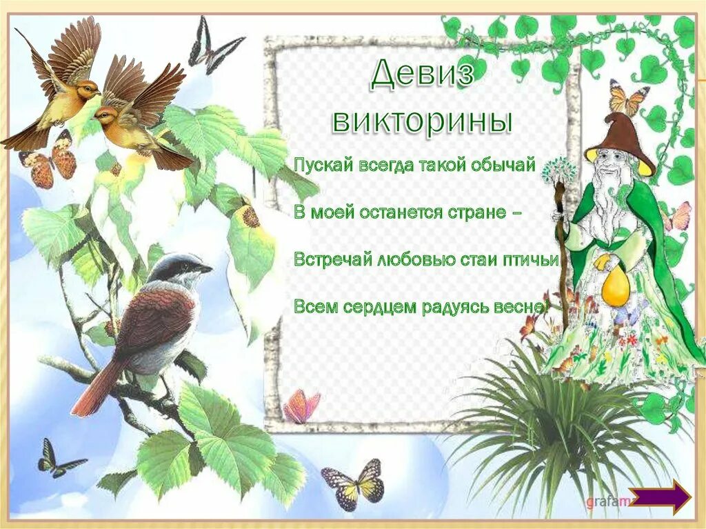 Листовка покормите птиц. Красивые цитаты про птиц. День птиц плакат. Экологическая забота о птицах. Птицы плакат советский.