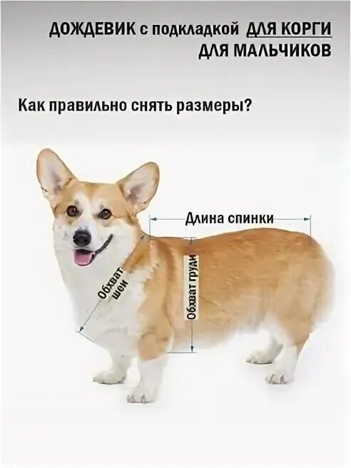 Кличка для корги девочки. Выкройка дождевика для корги пемброк. дождевик для корги. выкройка дождевика для корги. выкройка собаки корги.