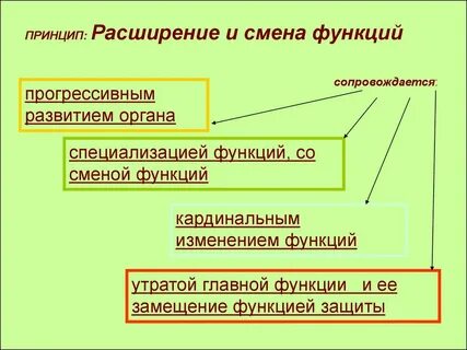 Прогрессивное развитие системы