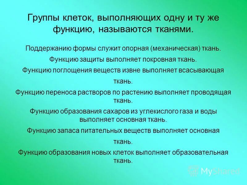 Выполняют функцию поглощения воды. Функцию защиты выполняют клетки. Группа клеток.