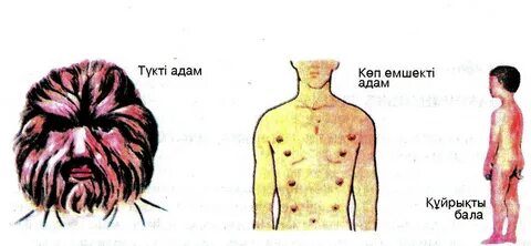 Арық аққұбалармен анальный порно онлайн