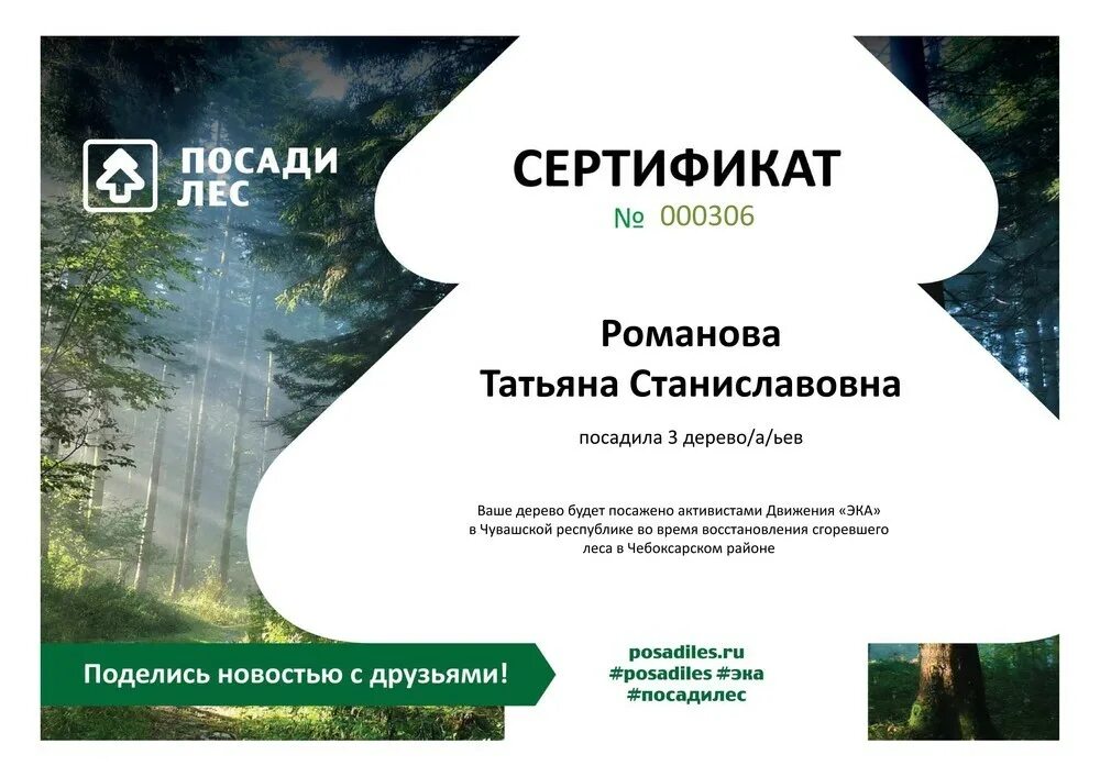 Северлесгрупп