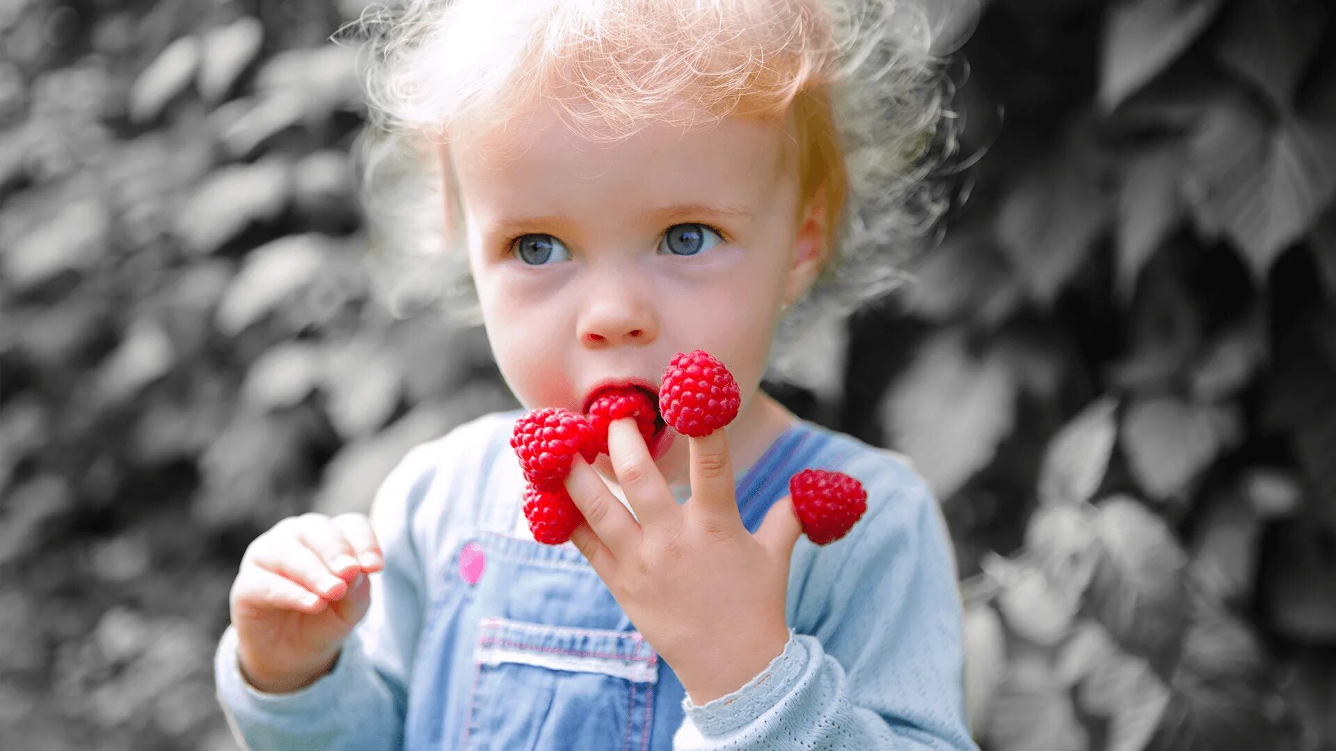 Ягодка ест ягодку. Малина для детей. Девочка с ягодами. Ребенок ест малину. Девочка собирает малину.