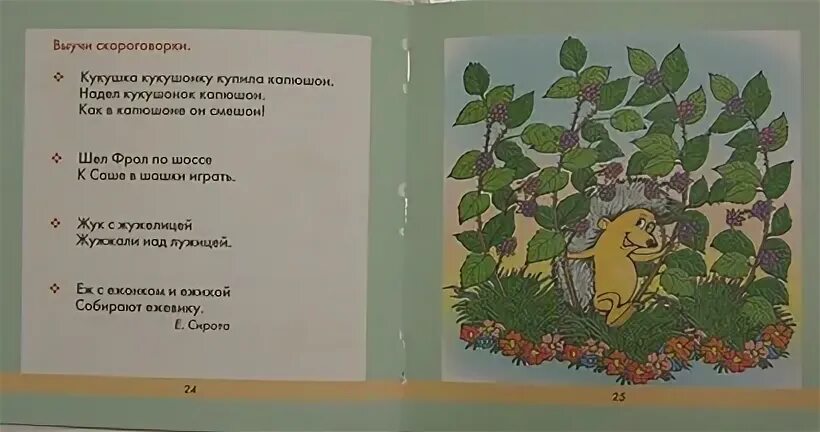 Скороговорка про кукушонка. Скороговорка про кукушонка и капюшон. Скороговорки Кукушка кукушонку. Кукушка кукушонку купила капюшон скороговорка.