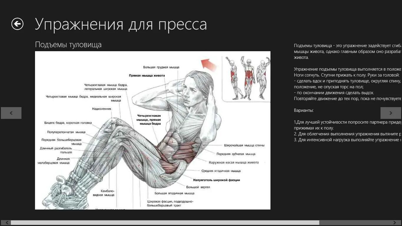 Техника выполнения подъема туловища из положения лежа. Упражнения на мышцы пресса. подъем туловища на пресс. упражнение подъем туловища. упражнение пресс техника выполнения.