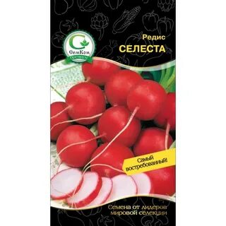 Редис селеста описание