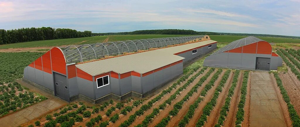 Теплица из поликарбоната 6х12. Фермерские теплицы. Каркас односкатной теплицы 2,5 на 3м. Теплица прямостенная каркас. Каркас теплицы 3х6 чертежи.