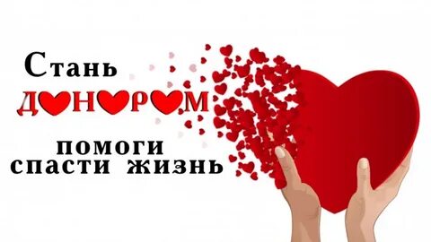 Спасти жизнь может каждый
