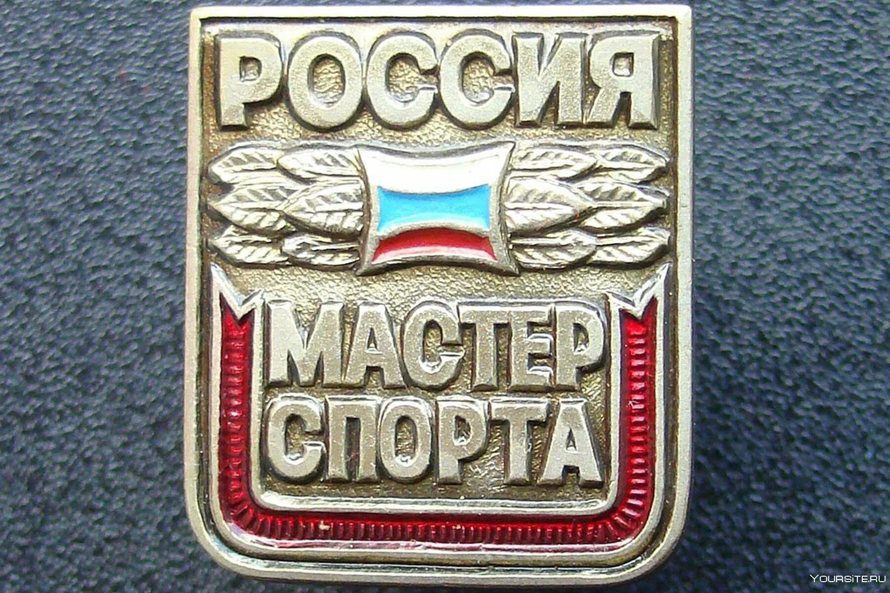 Мастер спорта питание. КМС МС МСМК. Значок мастер спорта России. Значок мастера спорта России по боксу. Значки КМС МС МСМК.