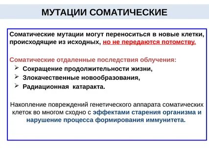 Соматические мутации возникают