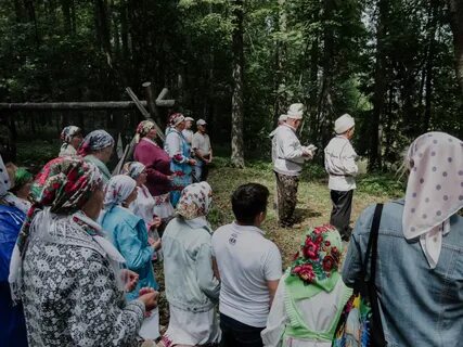 Погода шоруньжа