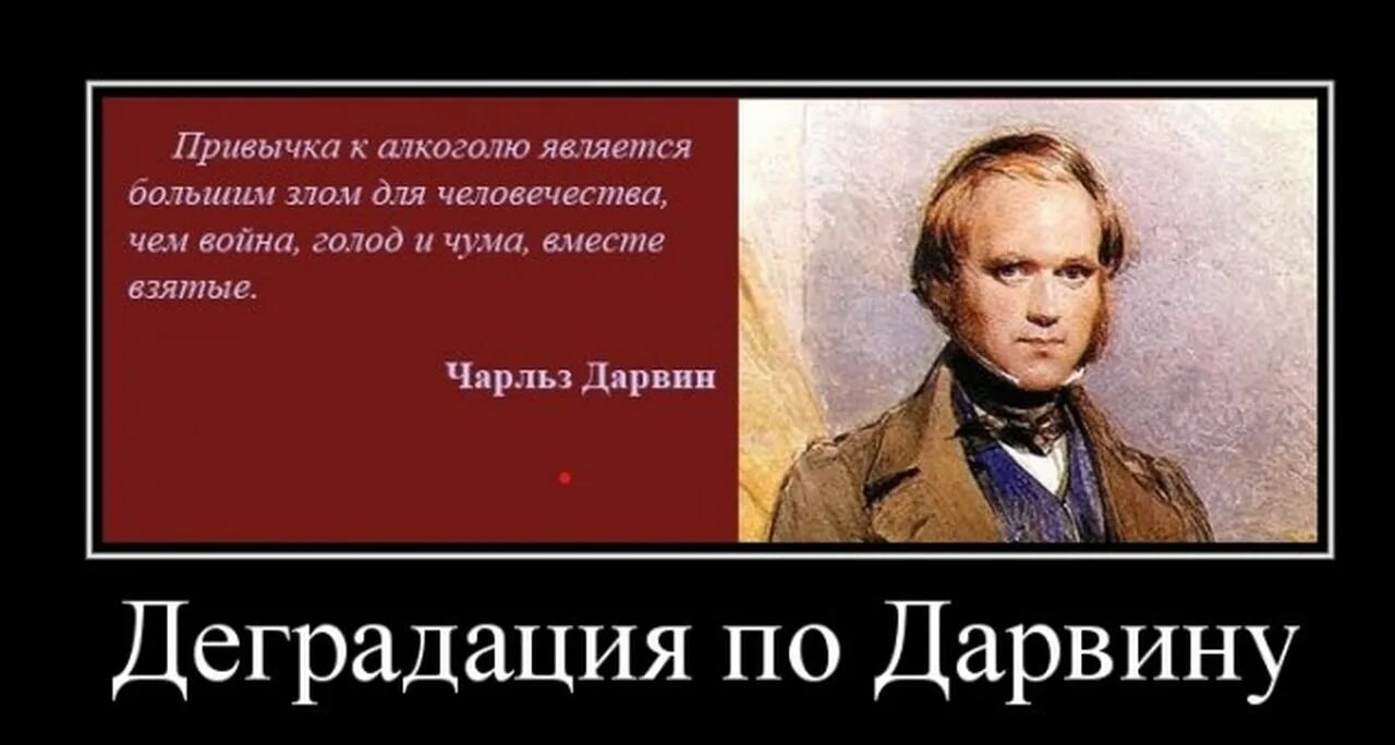 И обществу и потому являются. Деградация цитаты. Демотиваторы про деградацию. Афоризмы о деградации. Деградация общества демотиваторы.