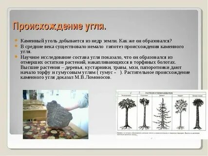 Какое происхождение имеет уголь