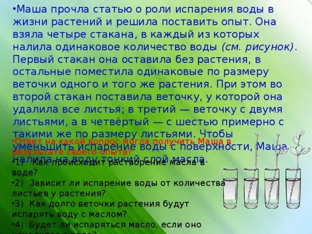 Что происходит с водой в пробирке. Опыт по испарению воды. Испарение воды в жизни растений. Опыт со стаканом и водой. Опыт по испарению воды растениями.