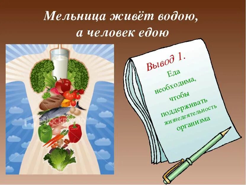 Пословица из слов еда после вкуснее работы. Пословицы о блюдах. поговорки о пище и еде. поговорки и пословицы о еде о еде. пословицы и поговорки о еде в картинках.